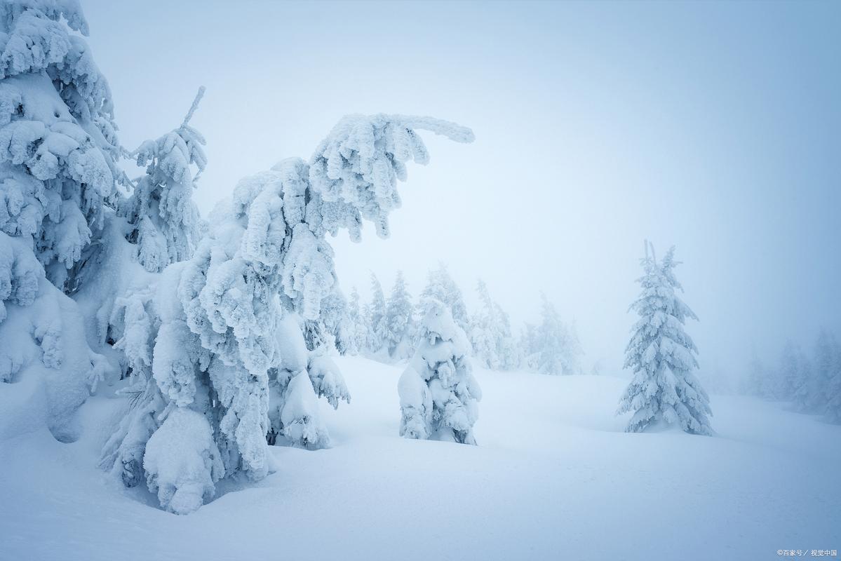 迟到的雪