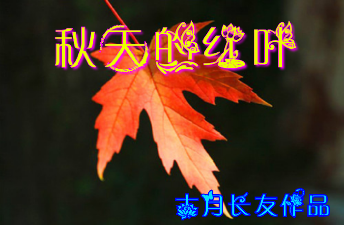 美图文字秀秀20191021123721.png